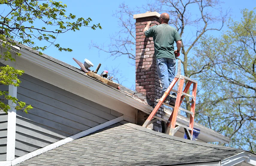 Chimney & Fireplace Inspections Services in Andover, MN